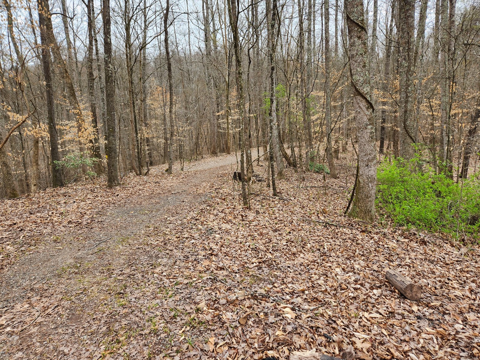 Caney Creek Recreation Area