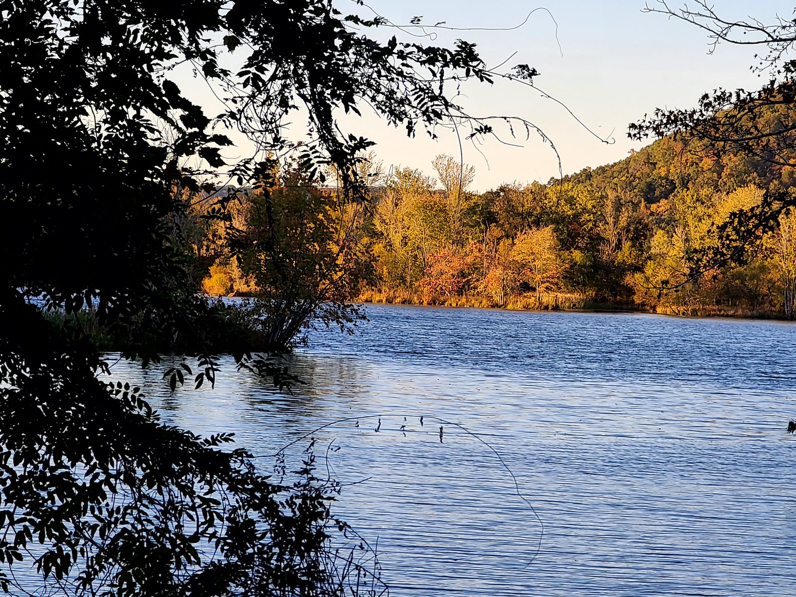 Paint Rock Wildlife Management Area
