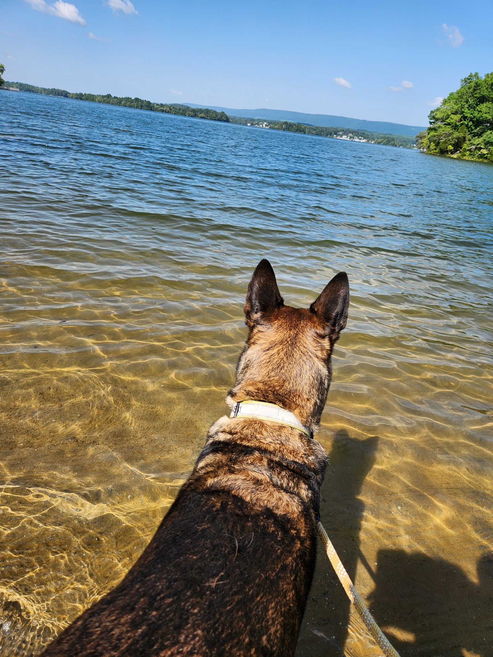 Rhea Springs Boat Ramp