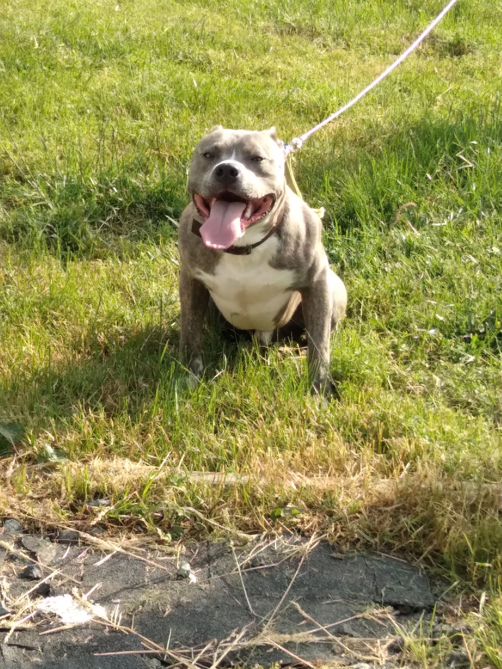 Winton Chapel Boat Launch